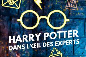 [Soirée Cult'] : Harry Potter dans l'œil des experts
